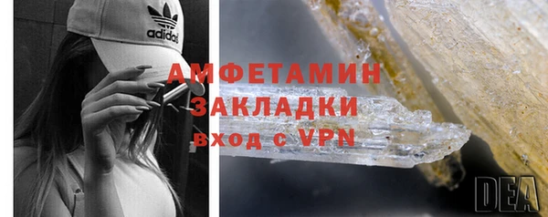 PSILOCYBIN Белокуриха