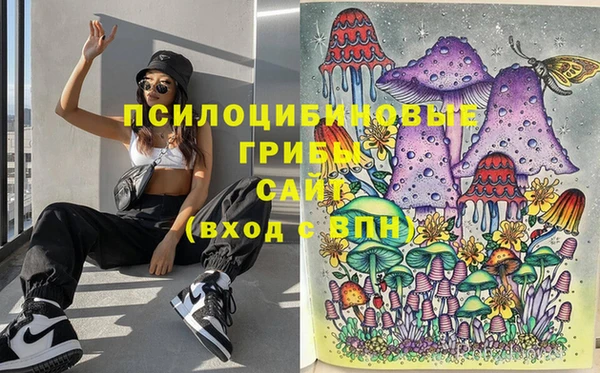 PSILOCYBIN Белокуриха