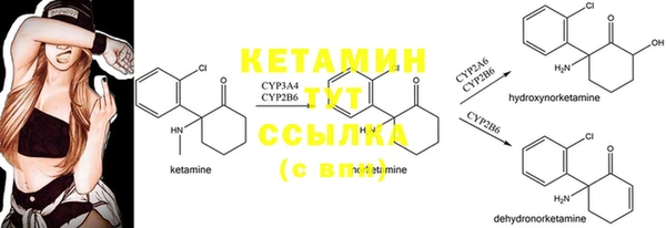 PSILOCYBIN Белокуриха