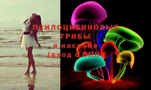 синтетический гашиш Богородск